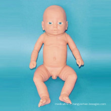 Enseignement médical 50cm Modèle infantile masculin (R110401)
